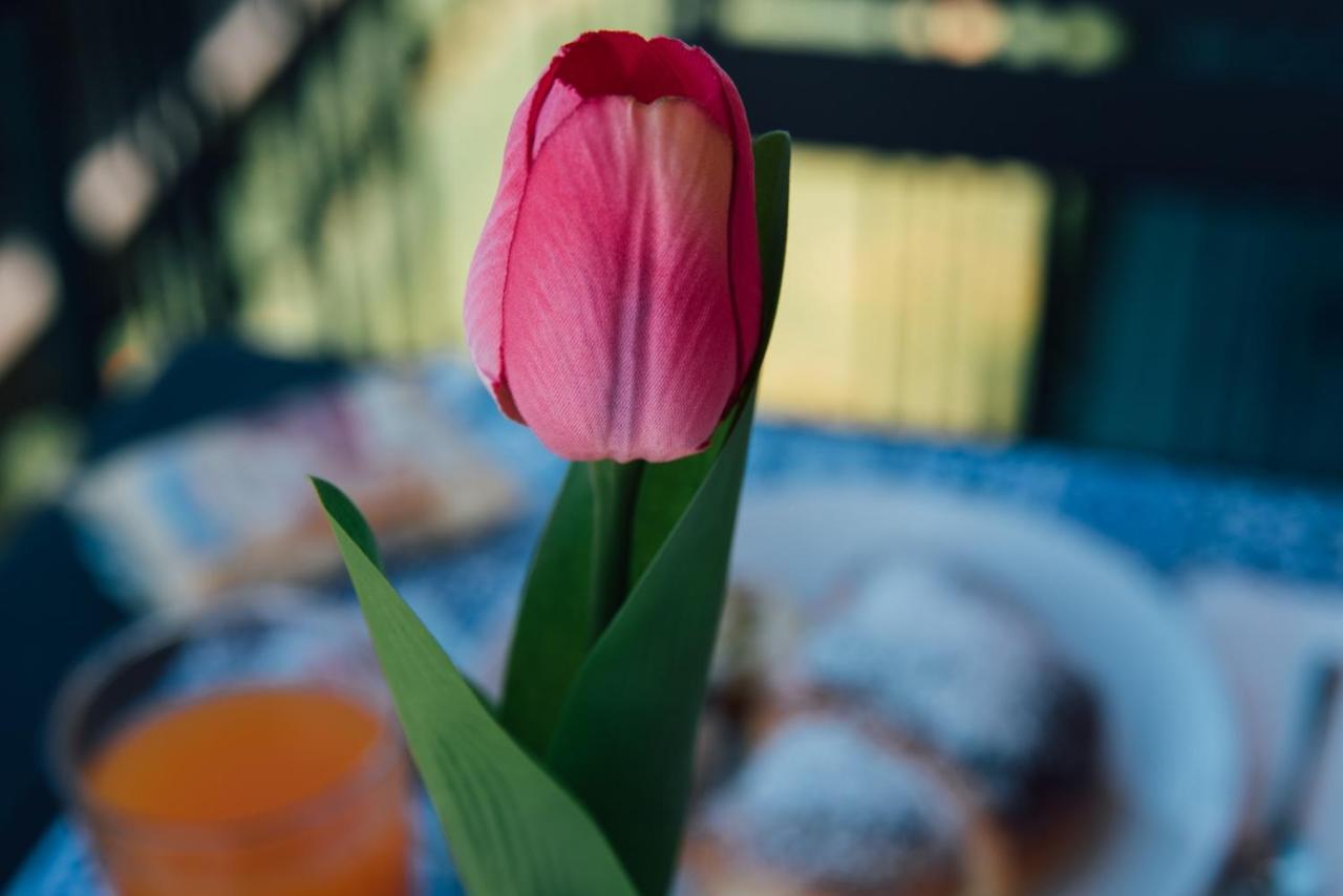 Bluviro Bed & Breakfast Bronte Ngoại thất bức ảnh